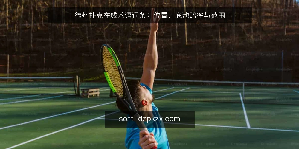 德州扑克在线术语词条：位置、底池赔率与范围 — 开局痛点：读不懂术语，策略无从下手 配图