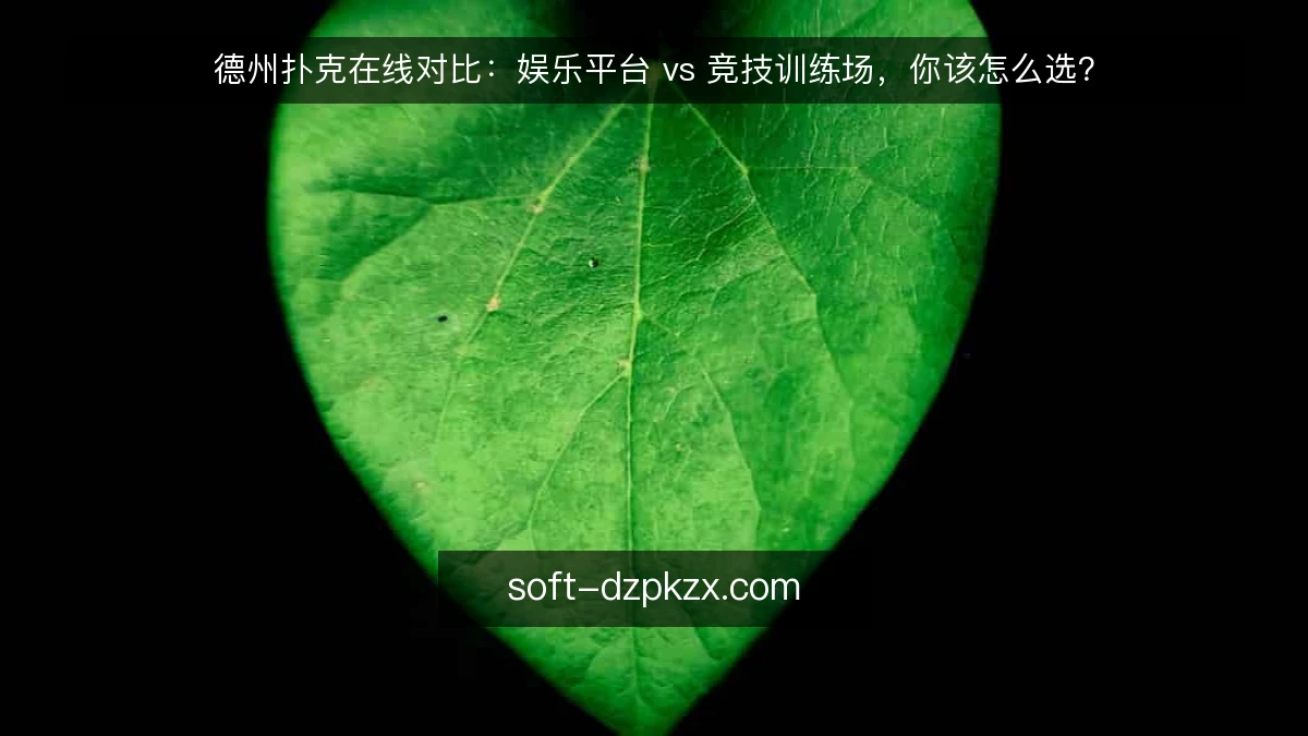 德州扑克在线对比：娱乐平台 vs 竞技训练场，你该怎么选？